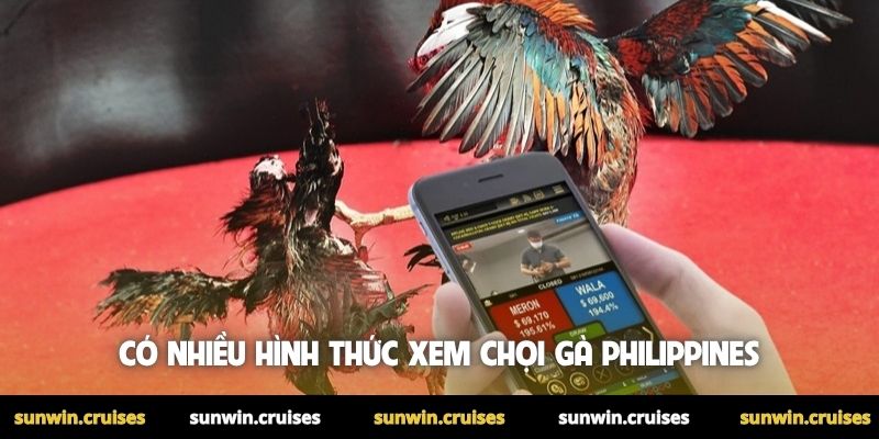 Có nhiều hình thức xem chọi gà Philippines