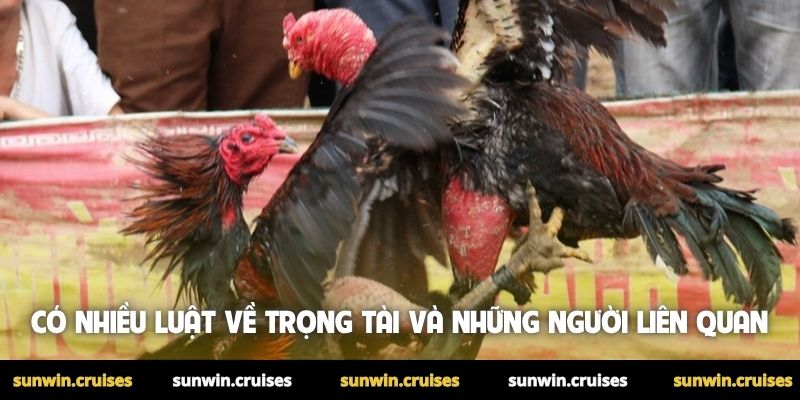 Có nhiều luật về trọng tài và những người liên quan