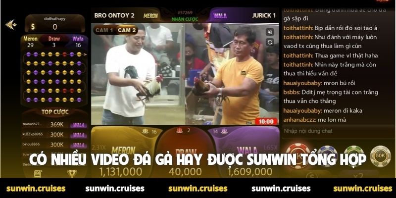 Video đá gà hay nhất được săn đón mỗi ngày tại Sunwin 3 Có nhiều video đá gà hay được Sunwin tổng hợp