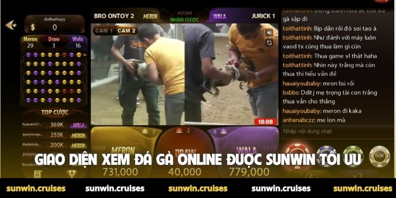 Giao diện xem đá gà online được Sunwin tối ưu