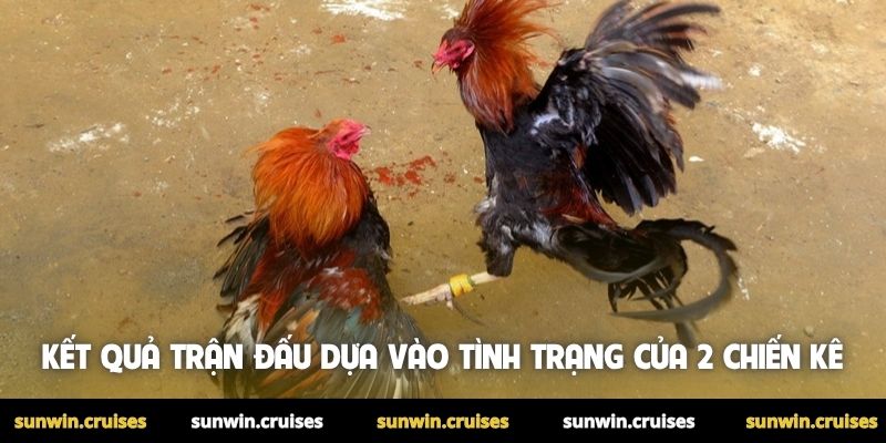 Kết quả trận đấu dựa vào tình trạng của 2 chiến kê