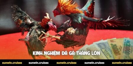 Kinh nghiệm đá gà thắng lớn