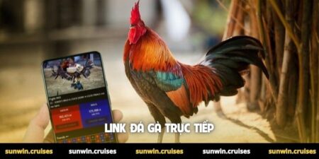 Link đá gà trực tiếp