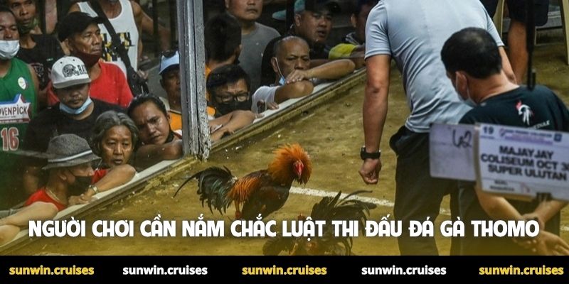 Người chơi cần nắm chắc luật thi đấu đá gà Thomo