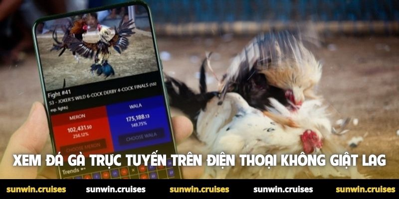Xem đá gà trực tuyến trên điện thoại không giật lag